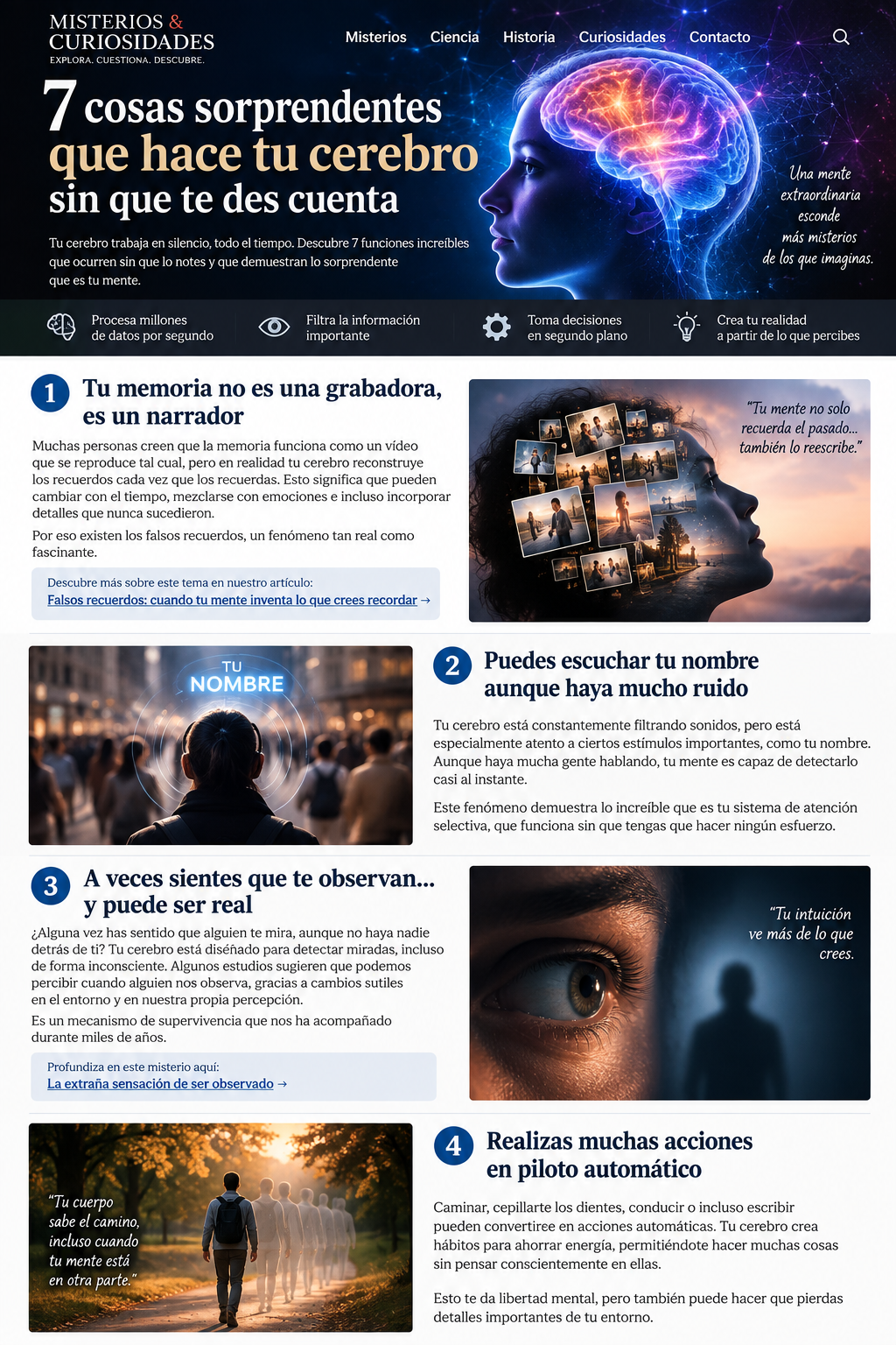Infografía sobre procesos automáticos del cerebro, memoria, atención y percepción